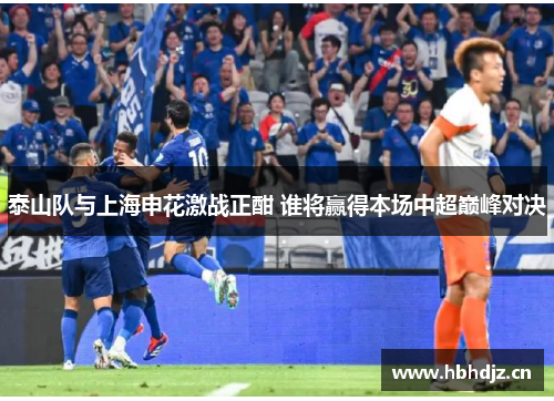 泰山队与上海申花激战正酣 谁将赢得本场中超巅峰对决