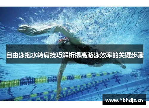 自由泳抱水转肩技巧解析提高游泳效率的关键步骤
