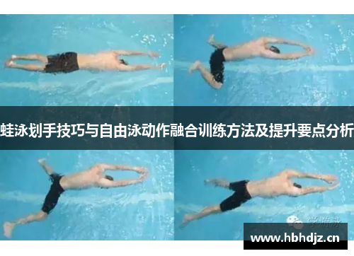 蛙泳划手技巧与自由泳动作融合训练方法及提升要点分析